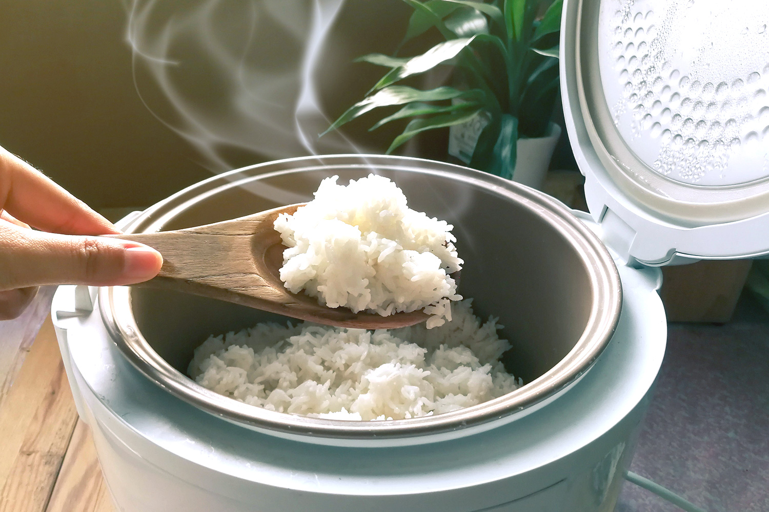 Nấu cơm đừng chỉ cho nước, nhớ thêm vài giọt này: Hạt cơm bóng dẻo, thơm ngon, để lâu không thiu