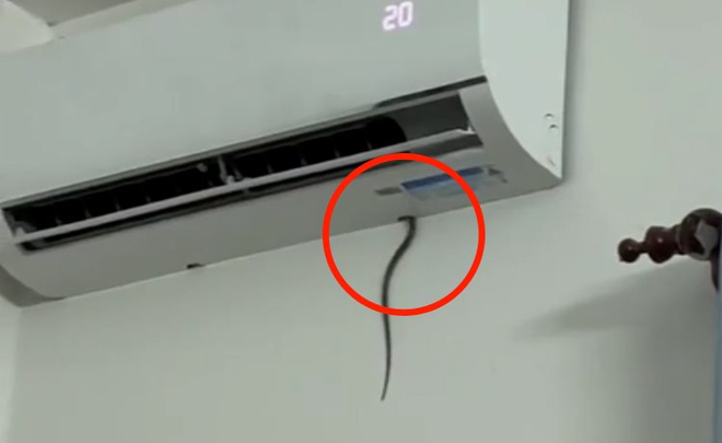 Cách phòng tránh rắn chui vào điều hòa trong ngày hè