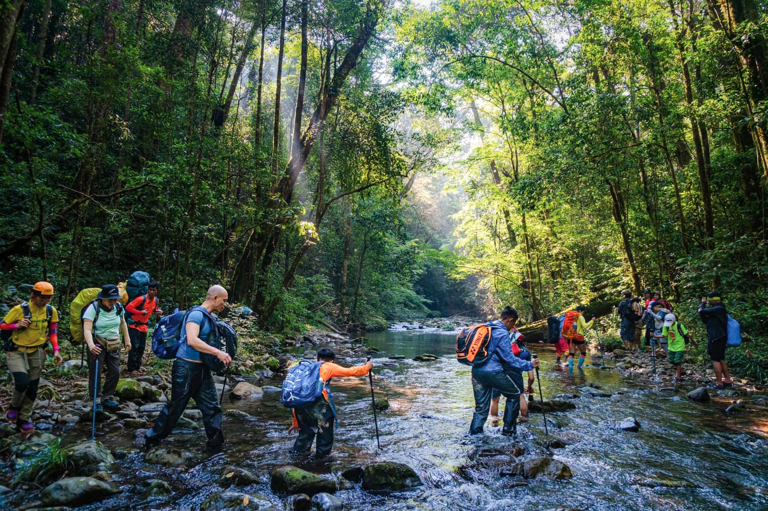Loại hình du lịch sinh thái khám phá thiên nhiên hoang dã lên ngội tại VQG Bidoup - Núi Bà