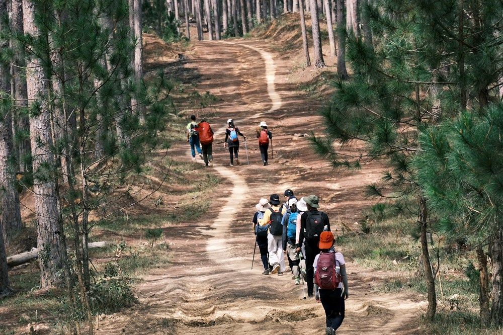 Trekking trong VQG Bidoup - Núi Bà