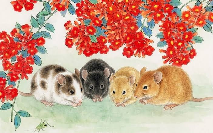Lời khuyên cho 4 con giáp cần cẩn trọng trong tháng 8 Âm lịch