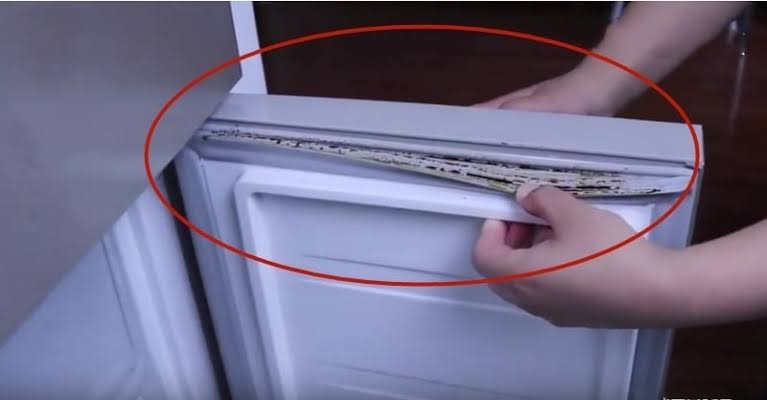 Nhà nào cũng có tủ lạnh nhưng 90% mọi người quên vệ sinh bộ phận này: ổ vi khuẩn khuẩn ẩn giấu