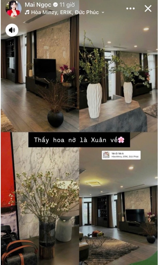 Khuôn viên sống bề thế của gia đình MC Mai Ngọc