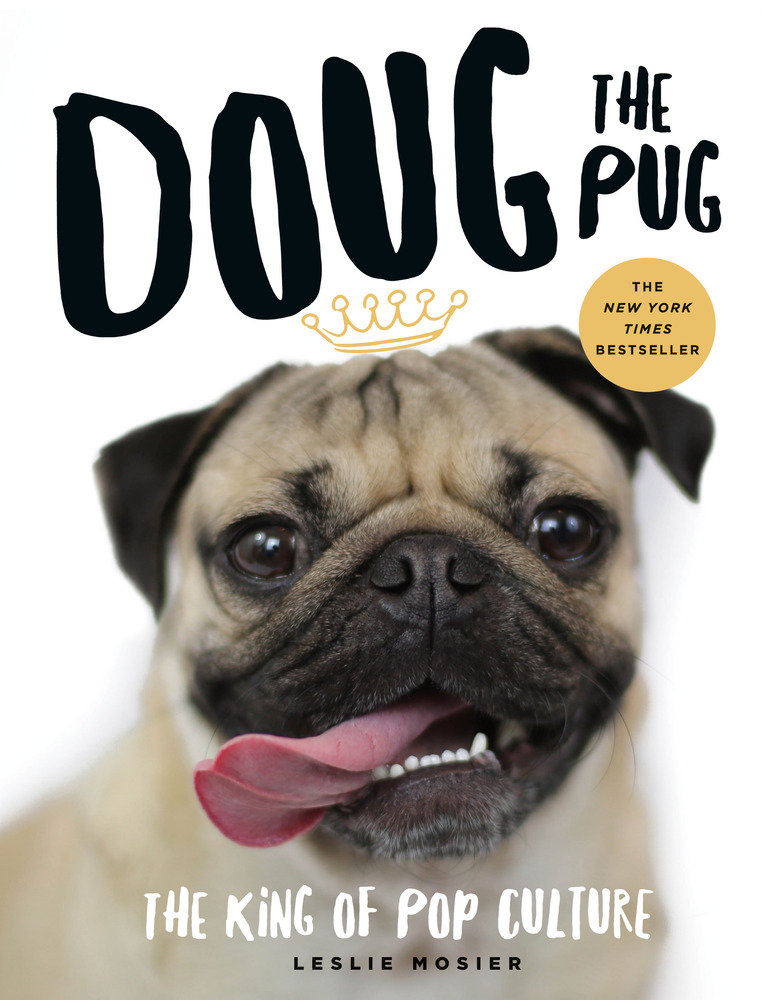 Doug the Pug từng hợp tác với nhiều nhãn hàng lớn tại Mỹ.