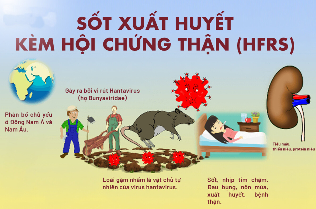 Điều đáng sợ ở Virus Hanta: Gây sốt xuất huyết, suy thận chỉ sau vài ngày