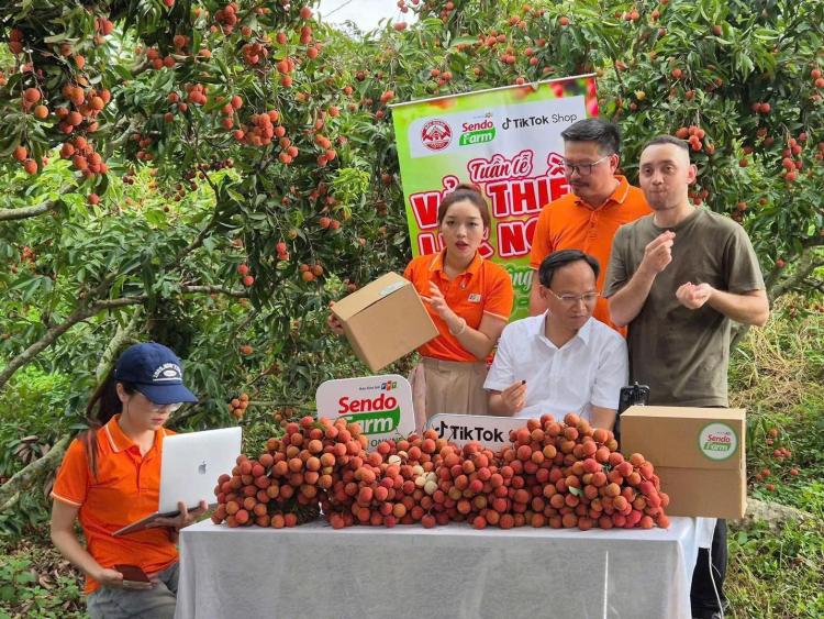 Ông Phạm Văn Thịnh trong livestream hồi năm 2025, từng bán được 54 tấn vải thiều.