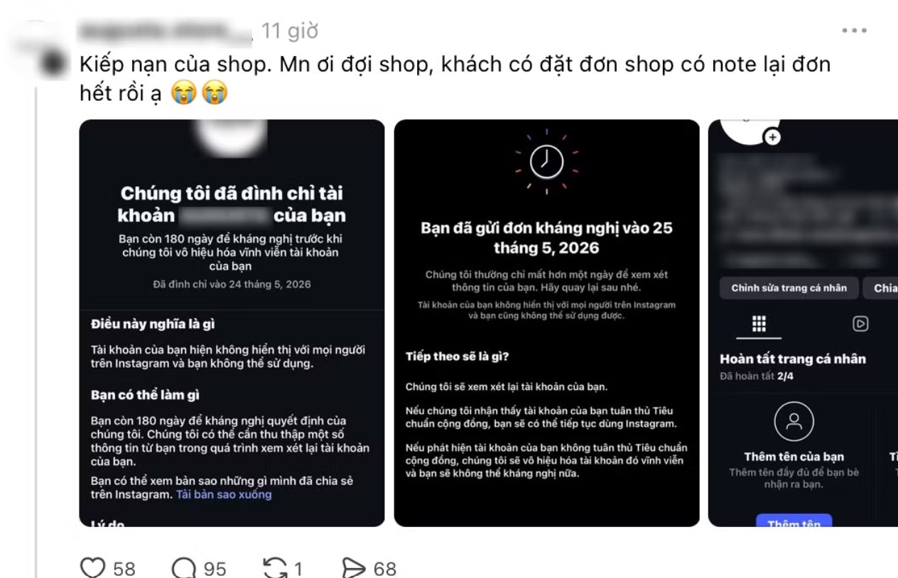 Hàng loạt brand 
