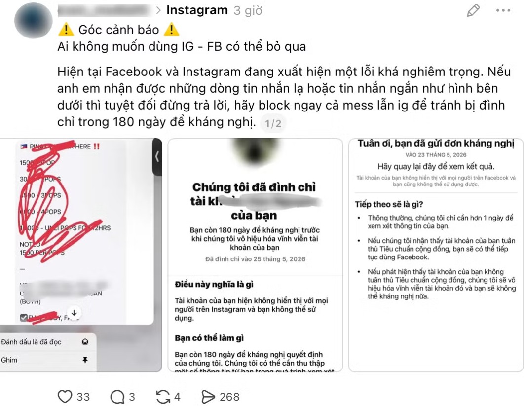 Hàng loạt brand 