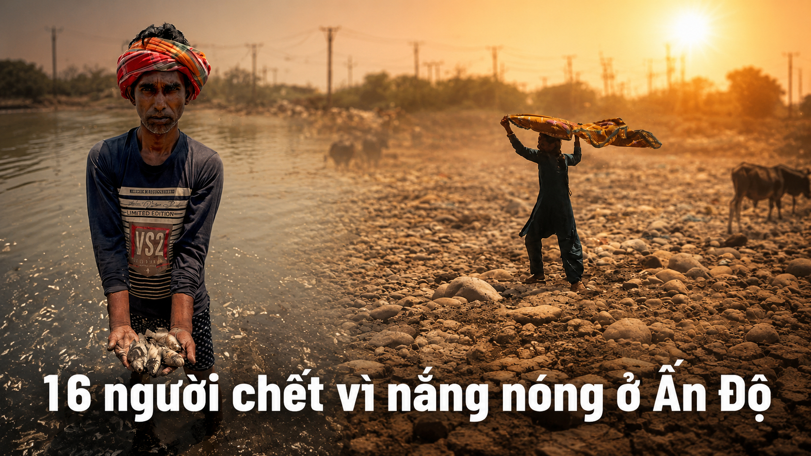 Mùa hè “đổ lửa” trên toàn cầu: 26 người chết ở Nam Á, châu Âu thiệt hại hàng chục tỷ euro vì nắng nóng bất thường