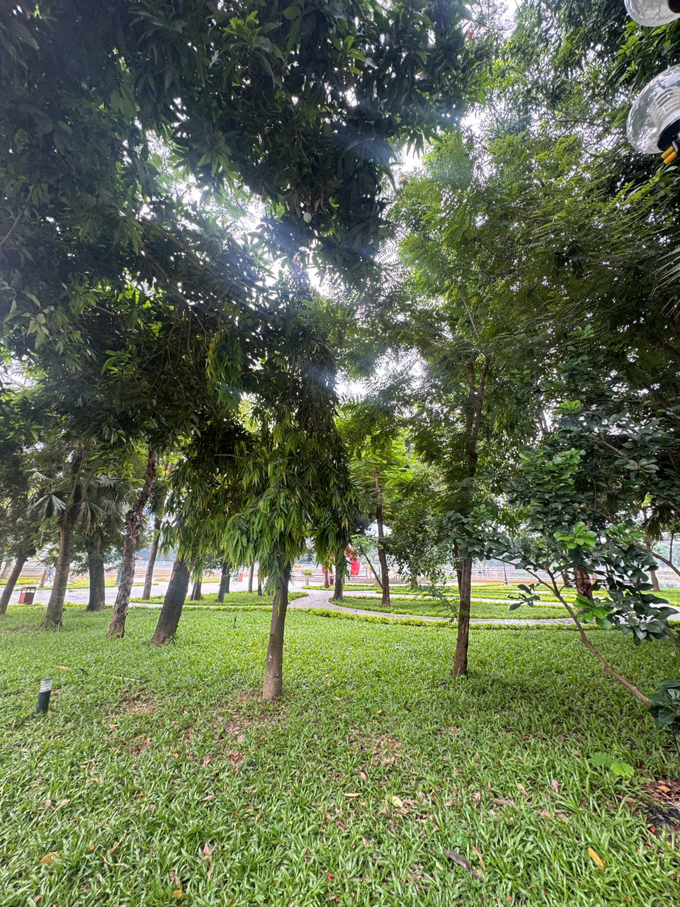Nhờ vị trí nằm giữa khu dân cư đông đúc của quận Cầu Giấy, công viên Nghĩa Đô từ lâu đã trở thành địa điểm vui chơi, thư giãn quen thuộc của nhiều thế hệ người dân Hà Nội