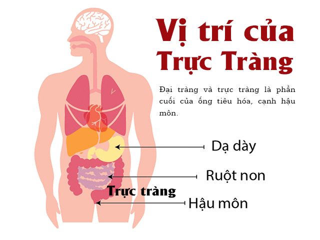 Ảnh: Bệnh viện K