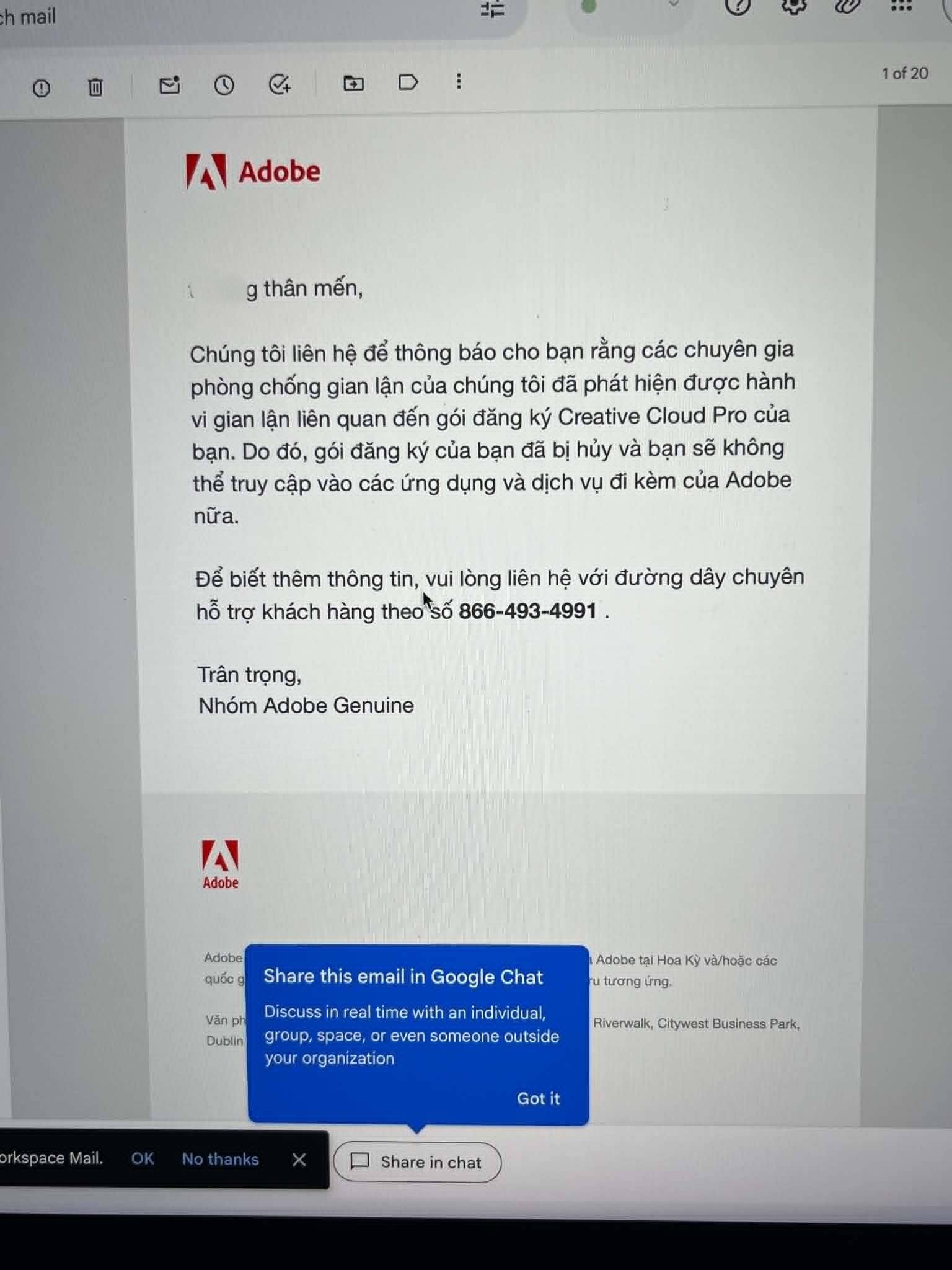 Hàng loạt designer nhận được nội dung email từ Adobe.
