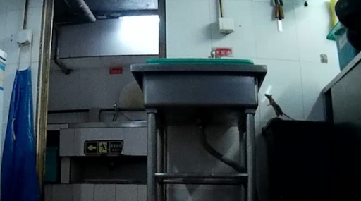Chú chuột trong bếp tại chi nhánh Haidilao Bắc Kinh (khu vực Jinsong và Taiyanggong)