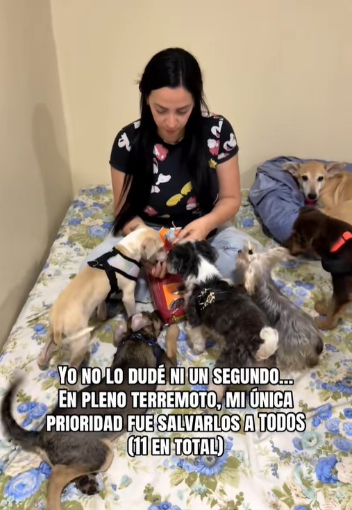 Giữa động đất rung chuyển Venezuela, cô gái quay ngược lên tòa nhà cứu 9 thú cưng: “Chúng là gia đình của tôi”