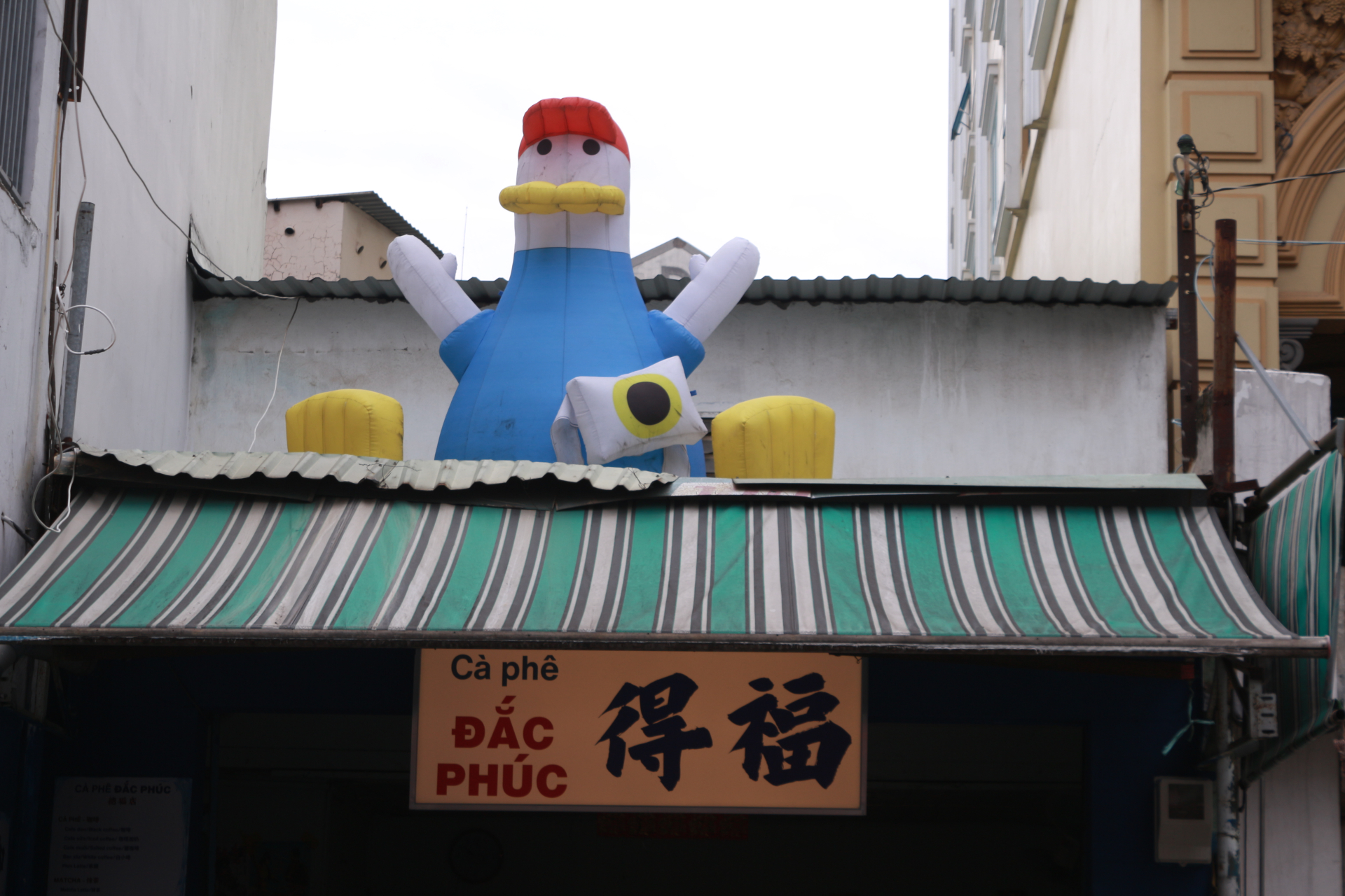 Chú vịt