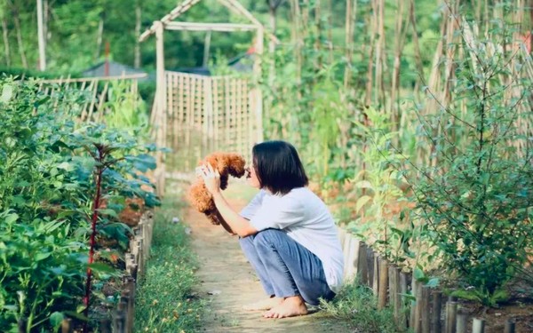 Ngày trước các bạn trẻ về quê thường mở homestay, làm nông nghiệp.