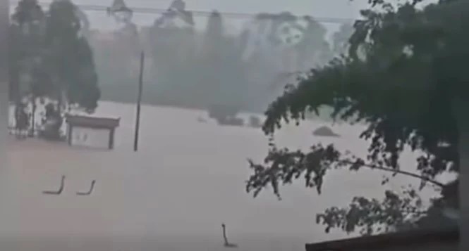 Hình ảnh được lan truyền trước đó.