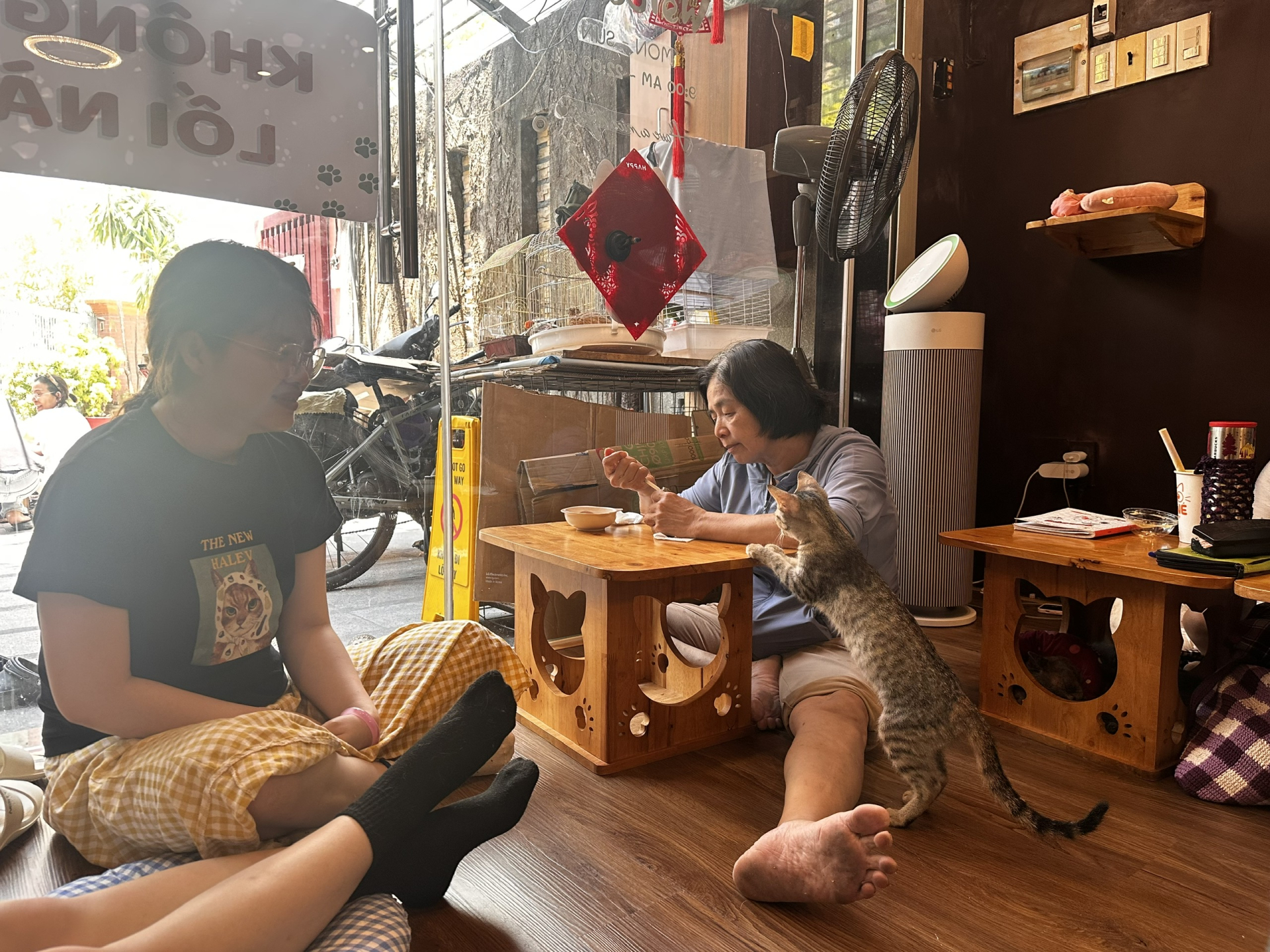 Hình ảnh cô San chăm sóc các bé chim non được cứu tại quán.