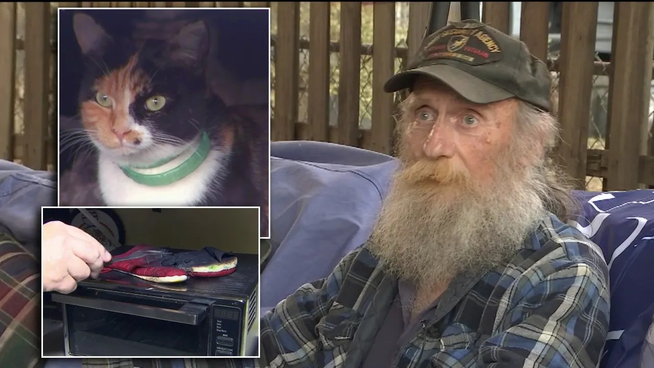 Chú mèo cưng tên Gizmo và ông Ron Perkins. Ảnh: FOX 13