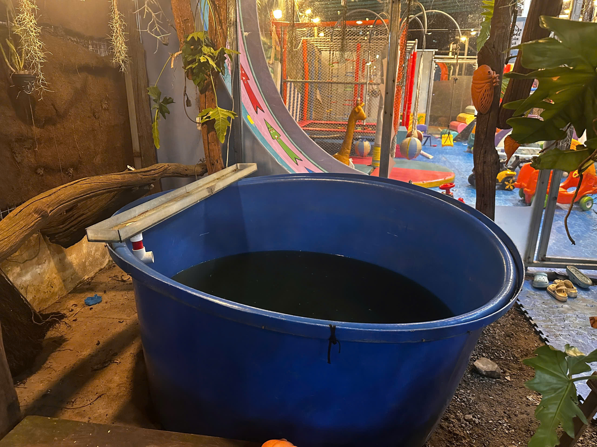 Từng được ví như ‘thảo cầm viên thu nhỏ’, quán cà phê nay hứng bão 1 sao, khu nuôi nhốt ám ảnh người nhìn