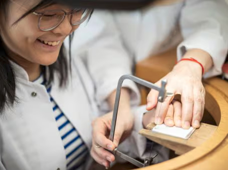 Các hoạt động được mở cửa rộng rãi cho công chúng. 