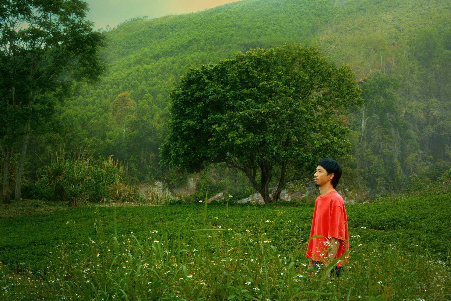 Tiếc cho Đen Vâu