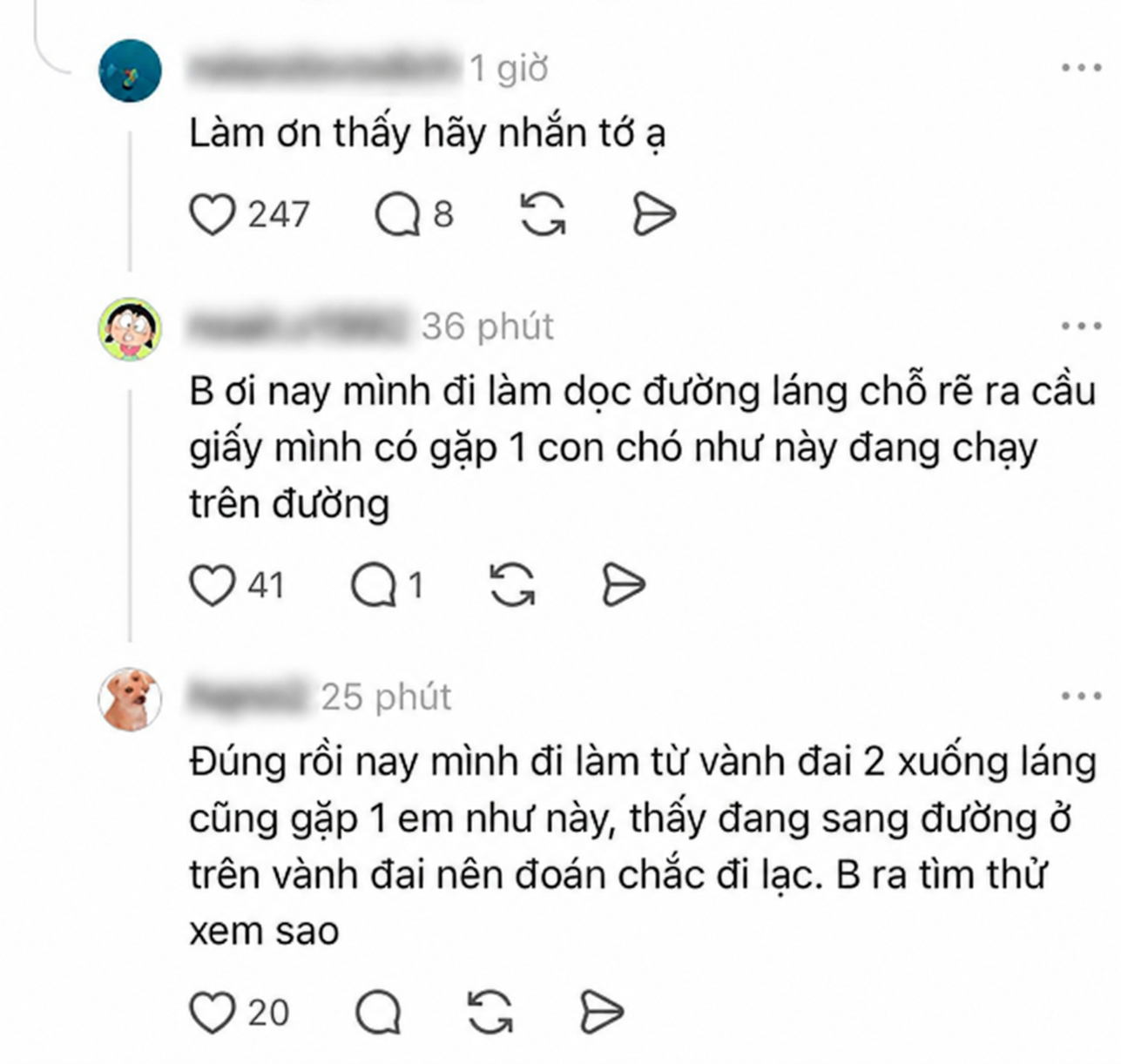 Dưới bài đăng nhận được nhiều tương tác, một số người chỉ dẫn chủ nhân tìm thú cưng của mình. Ảnh: Threads