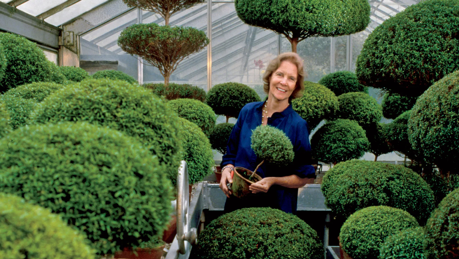 Một chi tiết nhỏ trên chiếc đệm ghế trong căn nhà ở Antigua từng thuộc về Bunny Mellon đã trở thành cảm hứng cho Bunny Knot