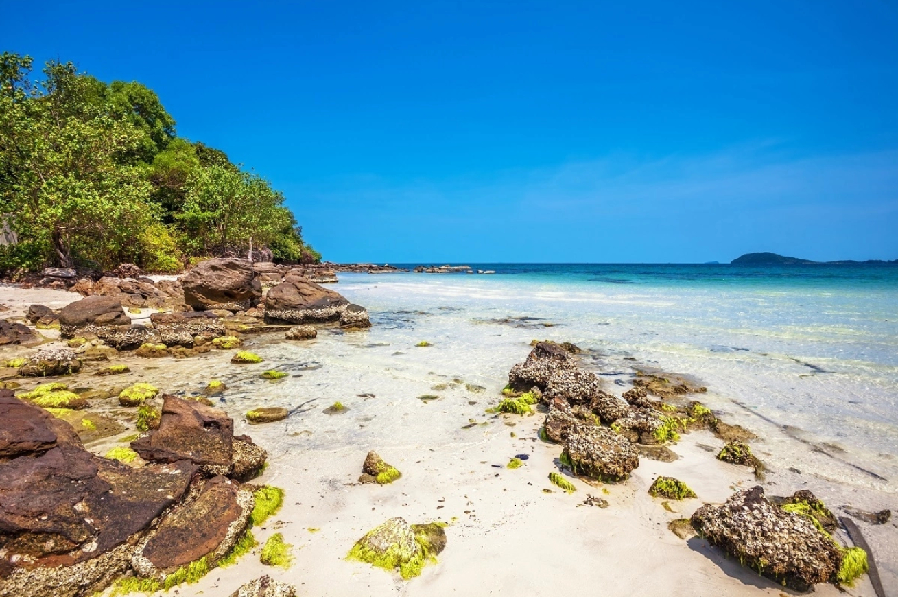 Ảnh: DeltaOFF/Shutterstock