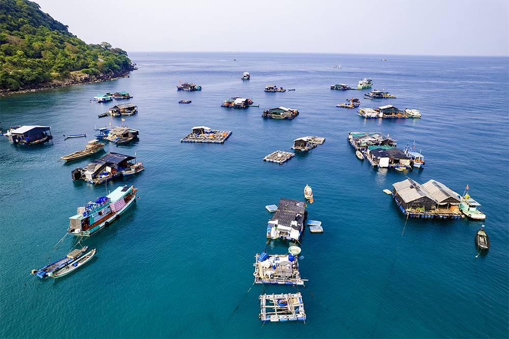 Nuôi cá lồng bè tại đặc khu Thổ Châu, An Giang.