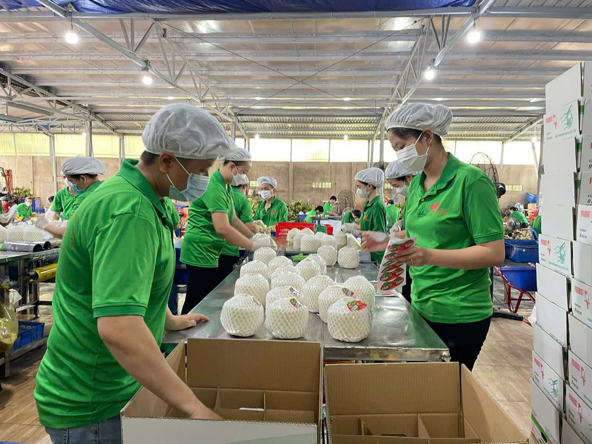 Xây dựng giai cấp công nhân hiện đại, lớn mạnh, gắn với sự phát triển của khoa học - công nghệ, đổi mới sáng tạo. Ảnh: Cẩm Trúc