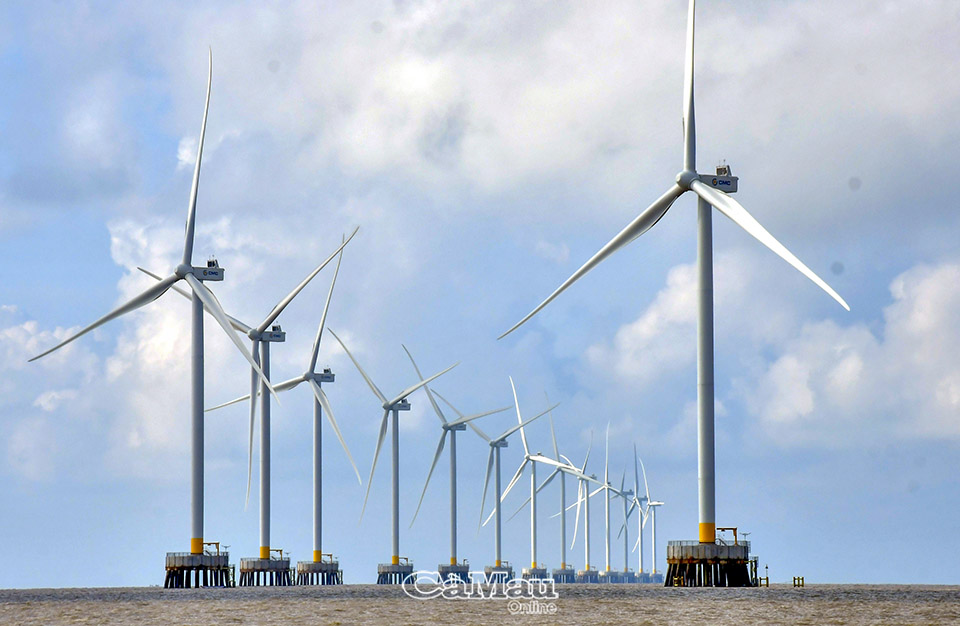   Điện gió ngoài khơi và điện gió ven biển trở thành động lực quan trọng thúc đẩy phát triển năng lượng tái tạo liên vùng sau hợp nhất. Ảnh: TRẦN NGUYÊN  