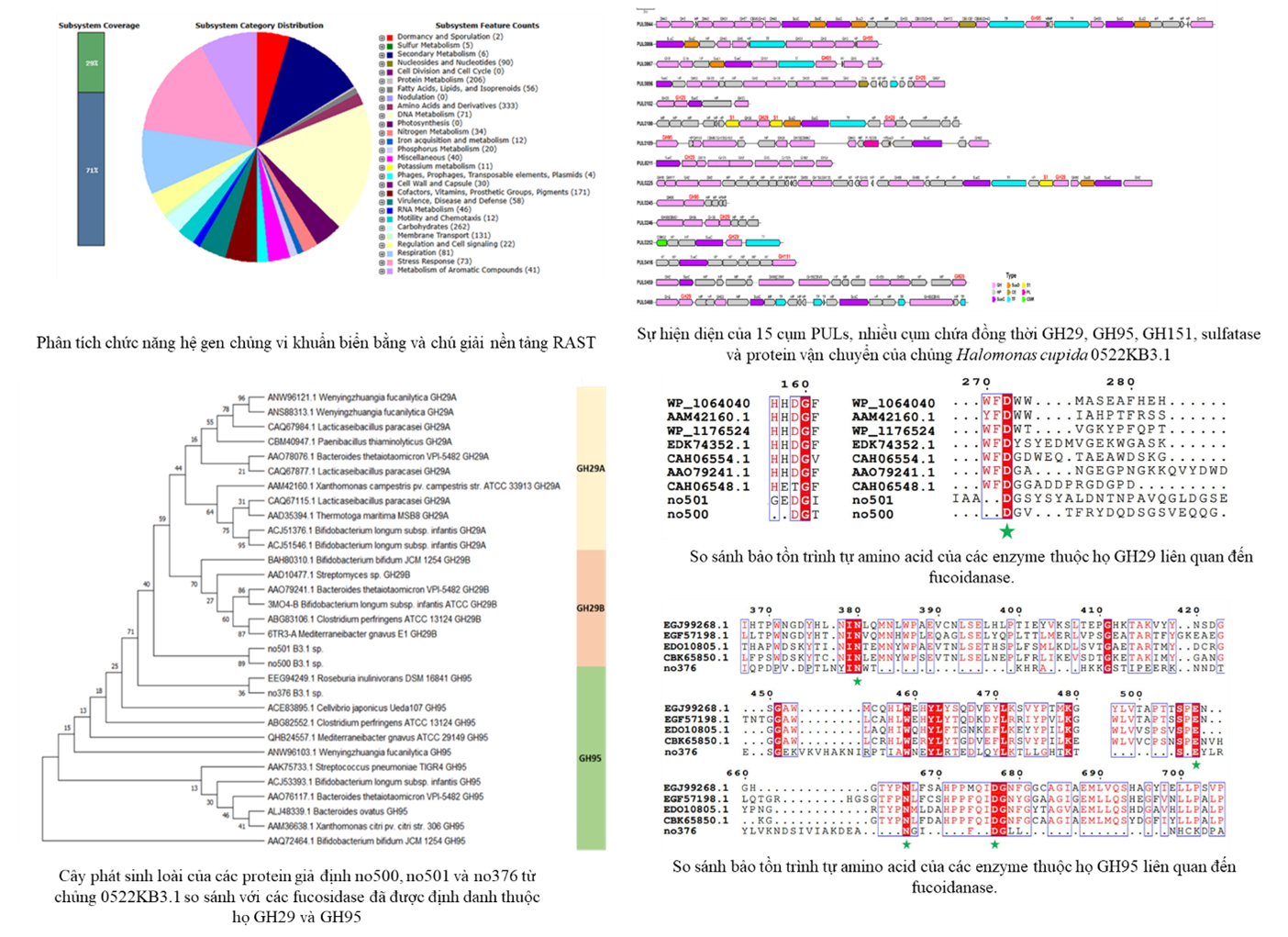 Giải mã và phân tích hệ gen của chủng vi khuẩn biển 0522KB3.1.