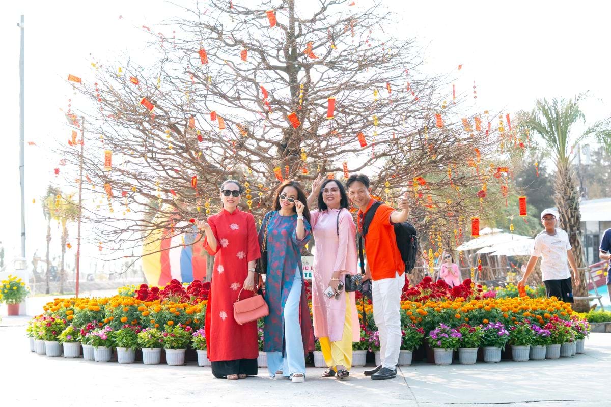 Cây mai Phú Quý cổ thụ 150 tuổi đang bước vào giai đoạn bung nở, trở thành điểm check-in và cầu may thu hút hàng nghìn du khách mỗi ngày.