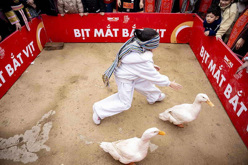 Từ đỉnh cao Fansipan đến Đảo Ngọc Phú Quốc: Một kỳ nghỉ Tết lịch sử của ngành du lịch Việt