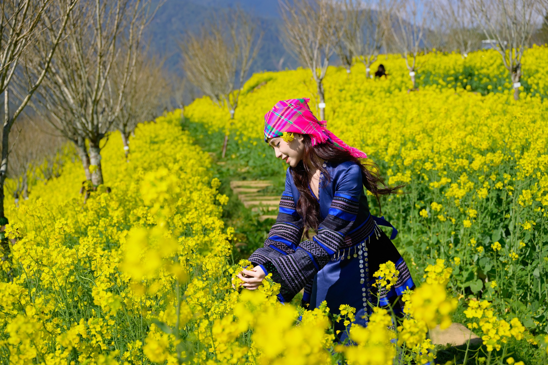 Du khách mê mẩn trước vẻ đẹp của đồi hoa cải.