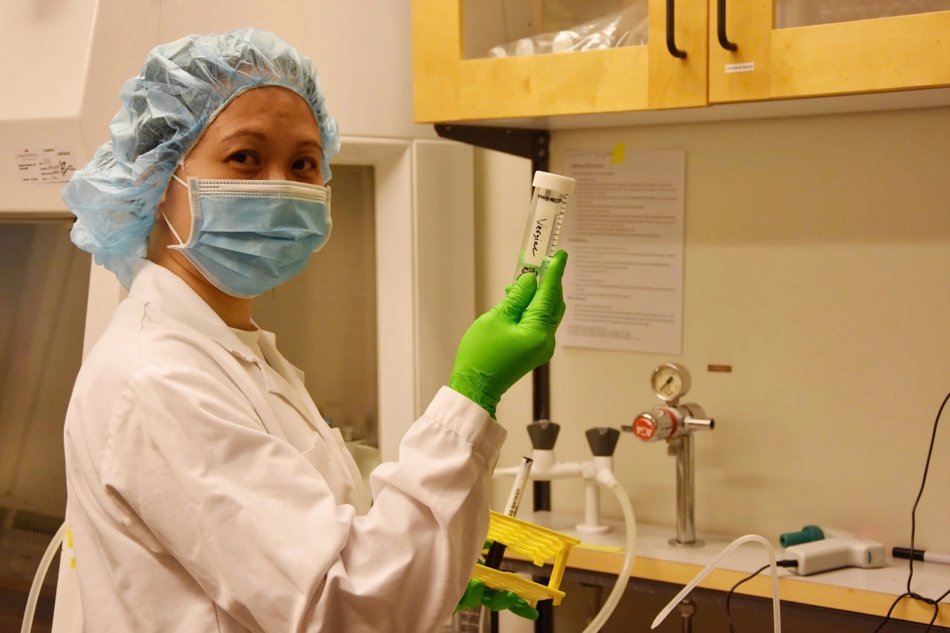 Trong nhiều năm, TS. Hiền và nhóm nghiên cứu tập trung tìm cách tạo phức hợp giữa protein alpha-lactalbumin và axit oleic, một hợp chất có khả năng tiêu diệt tế bào ung thư nhưng ít gây tổn hại cho tế bào khỏe mạnh.