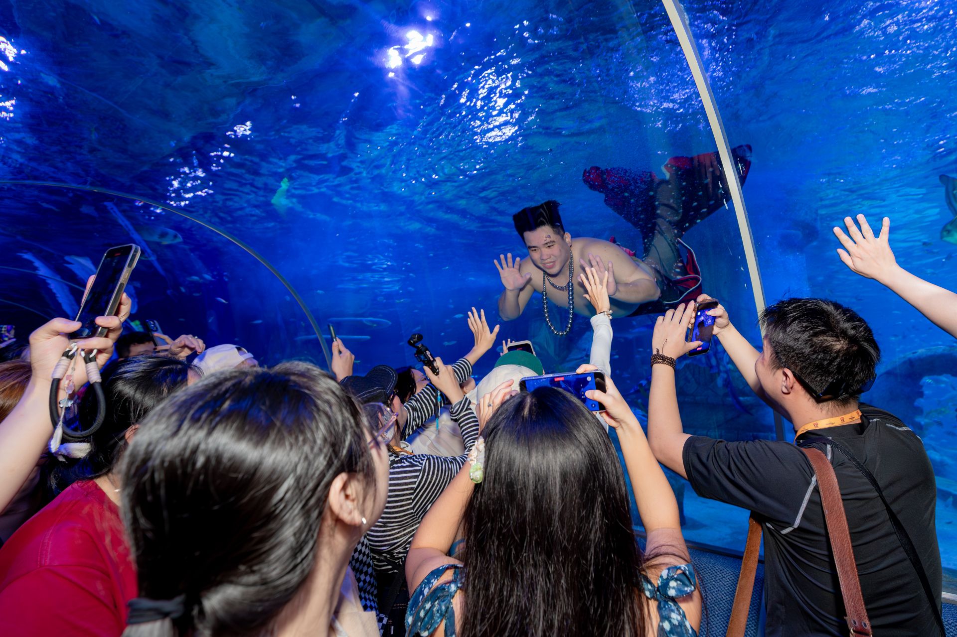 Chàng “tiên cá béo”mang đến trải nghiệm tương tác thú vị cho du khách.