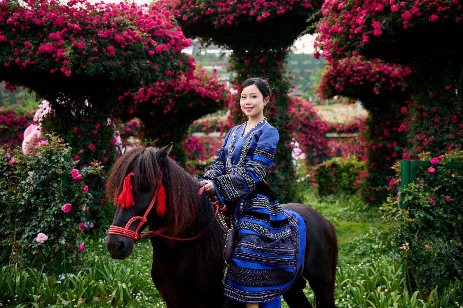 Hàng triệu bông hồng nở rộ trở thành điểm check-in không thể bỏ lỡ tại Sun World Fansipan Legend.