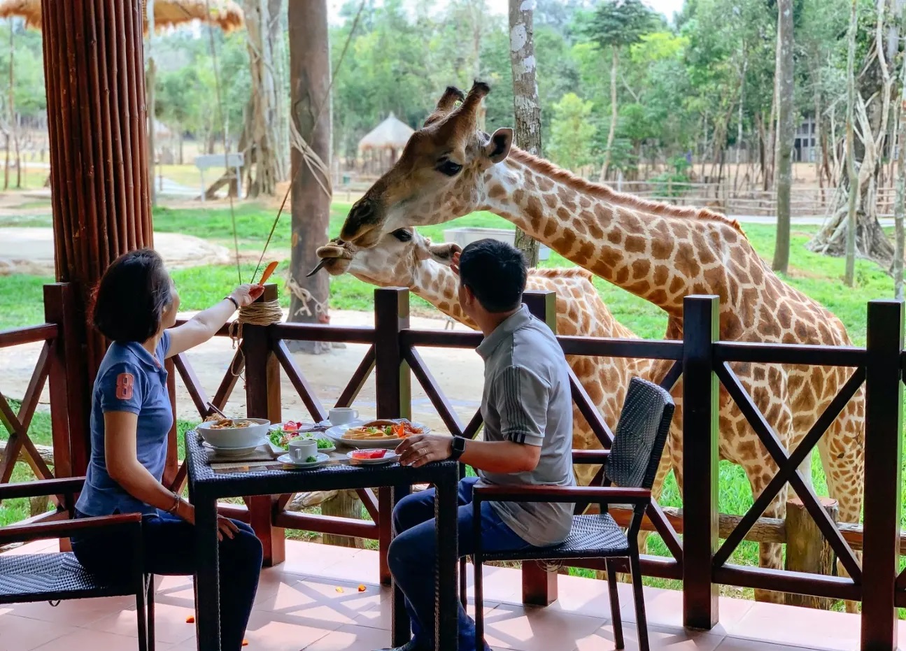 Trải nghiệm ẩm thực giữa không gian thiên nhiên tại Vinpearl Safari Phú Quốc.