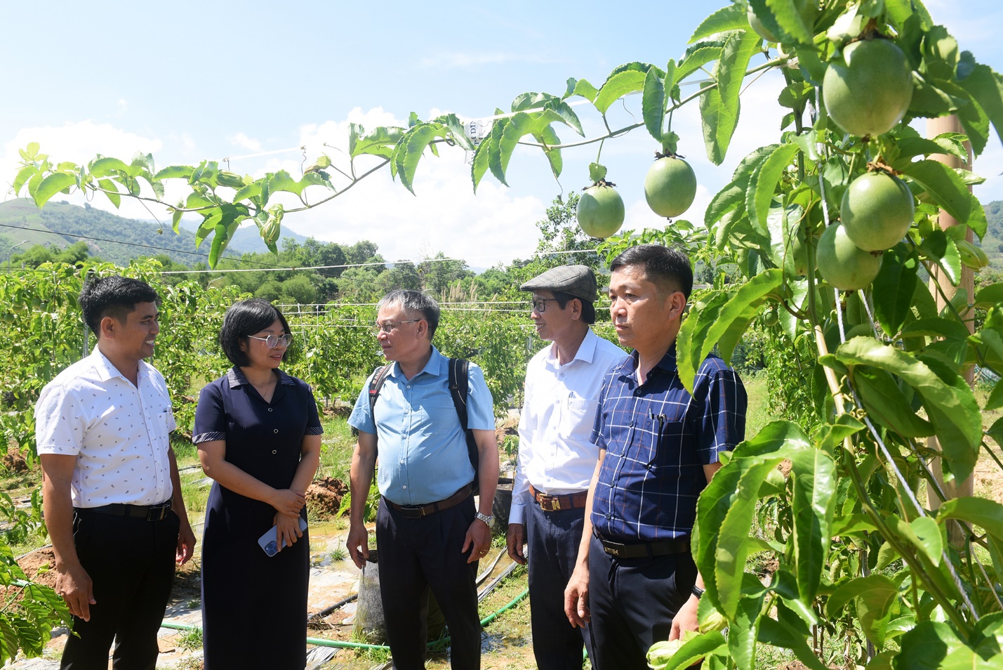 Sơn Tây Thượng – Tròn một năm đổi mới, kiến tạo và phát triển