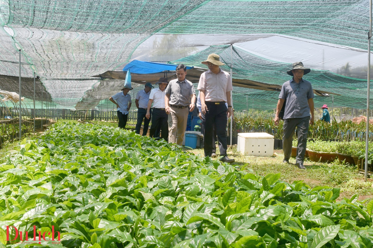 Sơn Tây Thượng – Tròn một năm đổi mới, kiến tạo và phát triển
