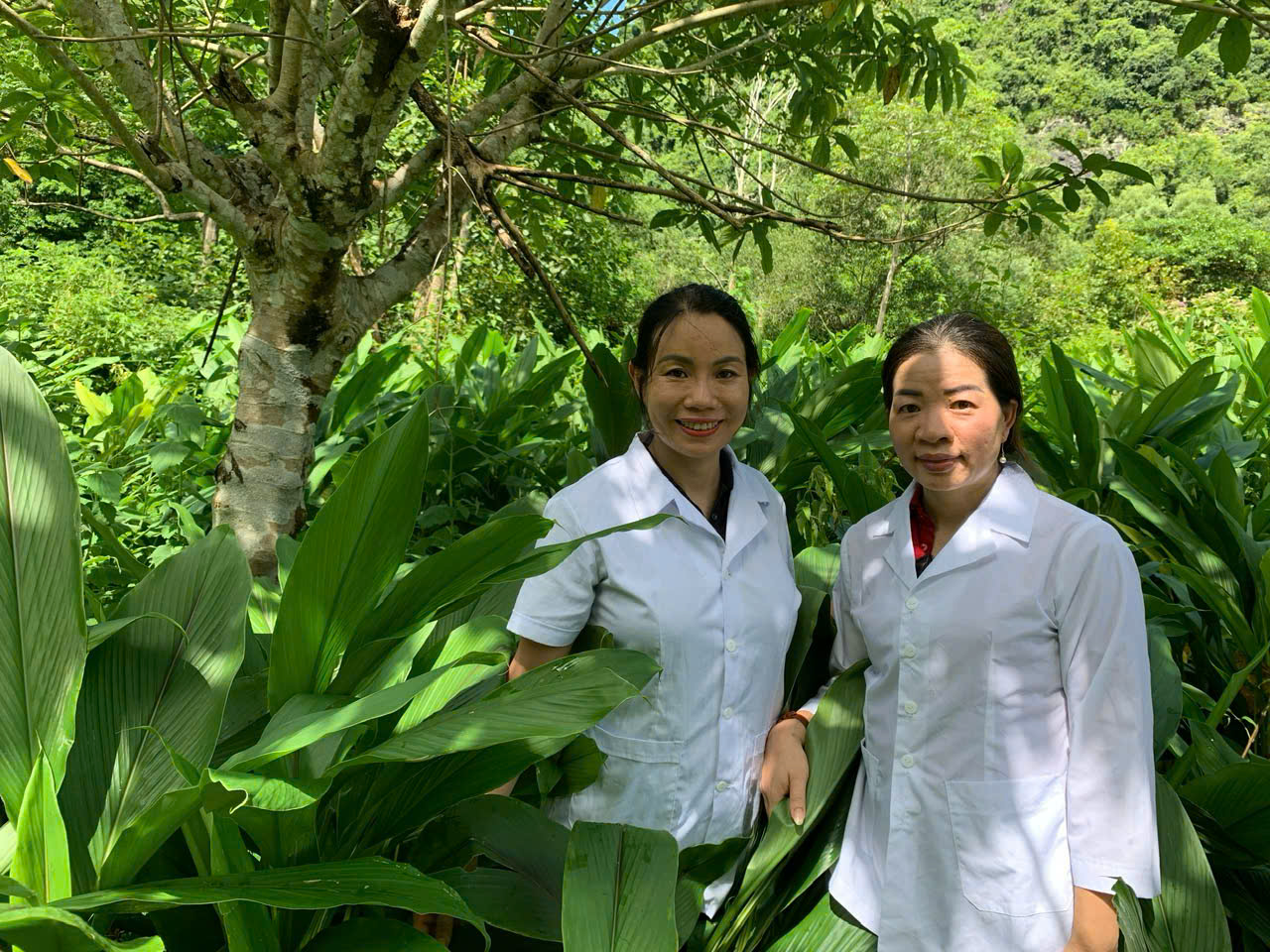 Tiến sĩ Nguyễn Thị Thúy Hường và Tiến sĩ Bá Thị Châm thu mẫu tại vùng trồng Nghệ xanh.