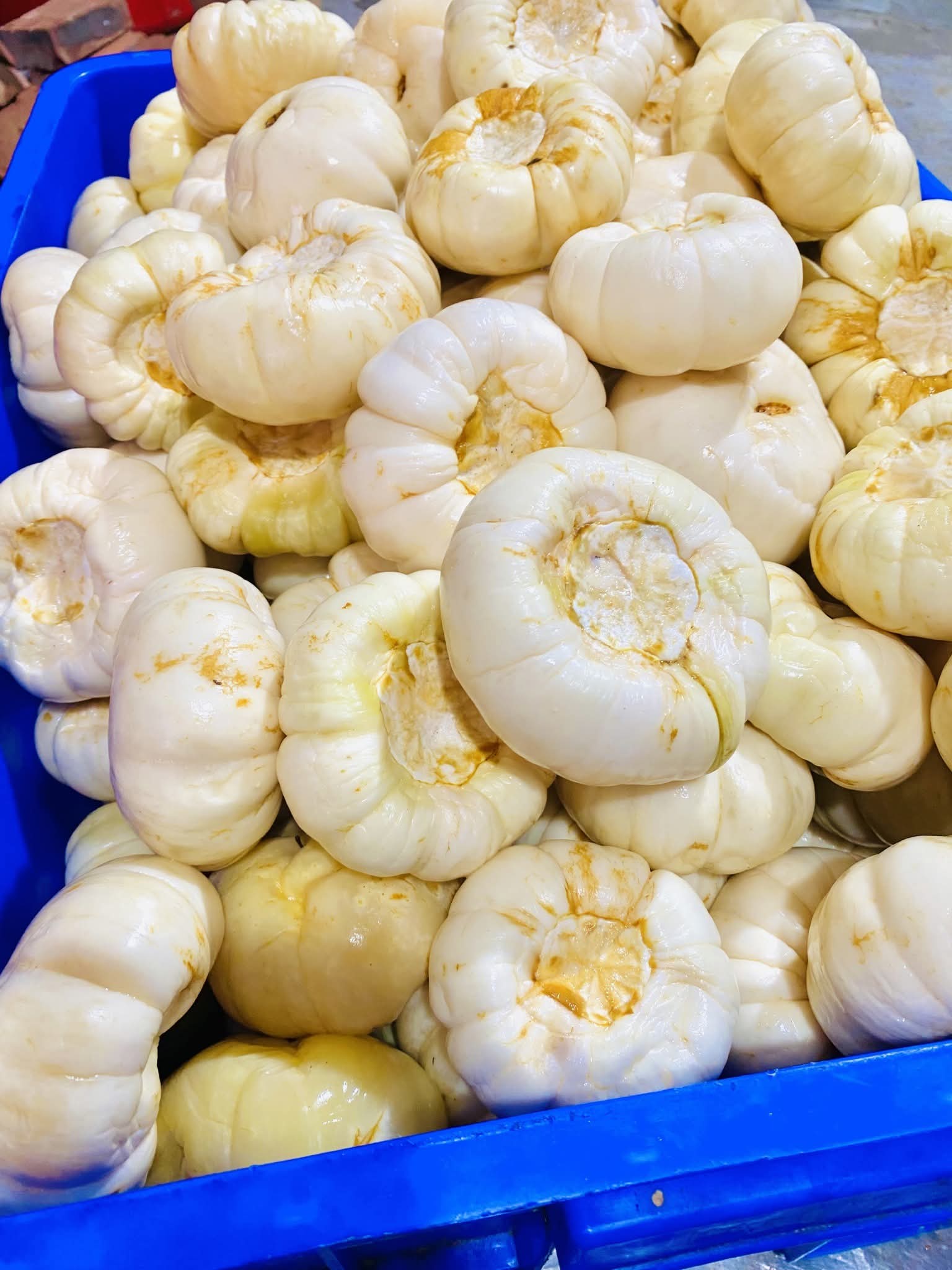 Cà bát muối bấy lâu nay là sản phẩm truyền thống nổi tiếng của làng Khương Hạ.