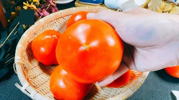 Cà chua đầu nhọn