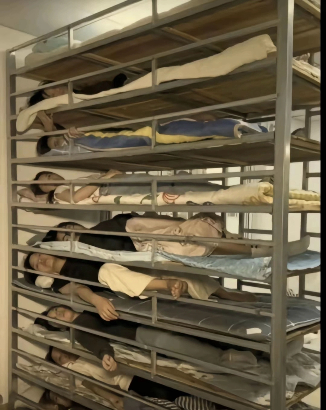 Nhiều người bất ngờ sau khi xem bức ảnh này.