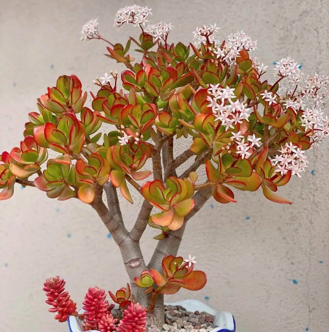 918cf6f9947945b2b0212df45debc6ec