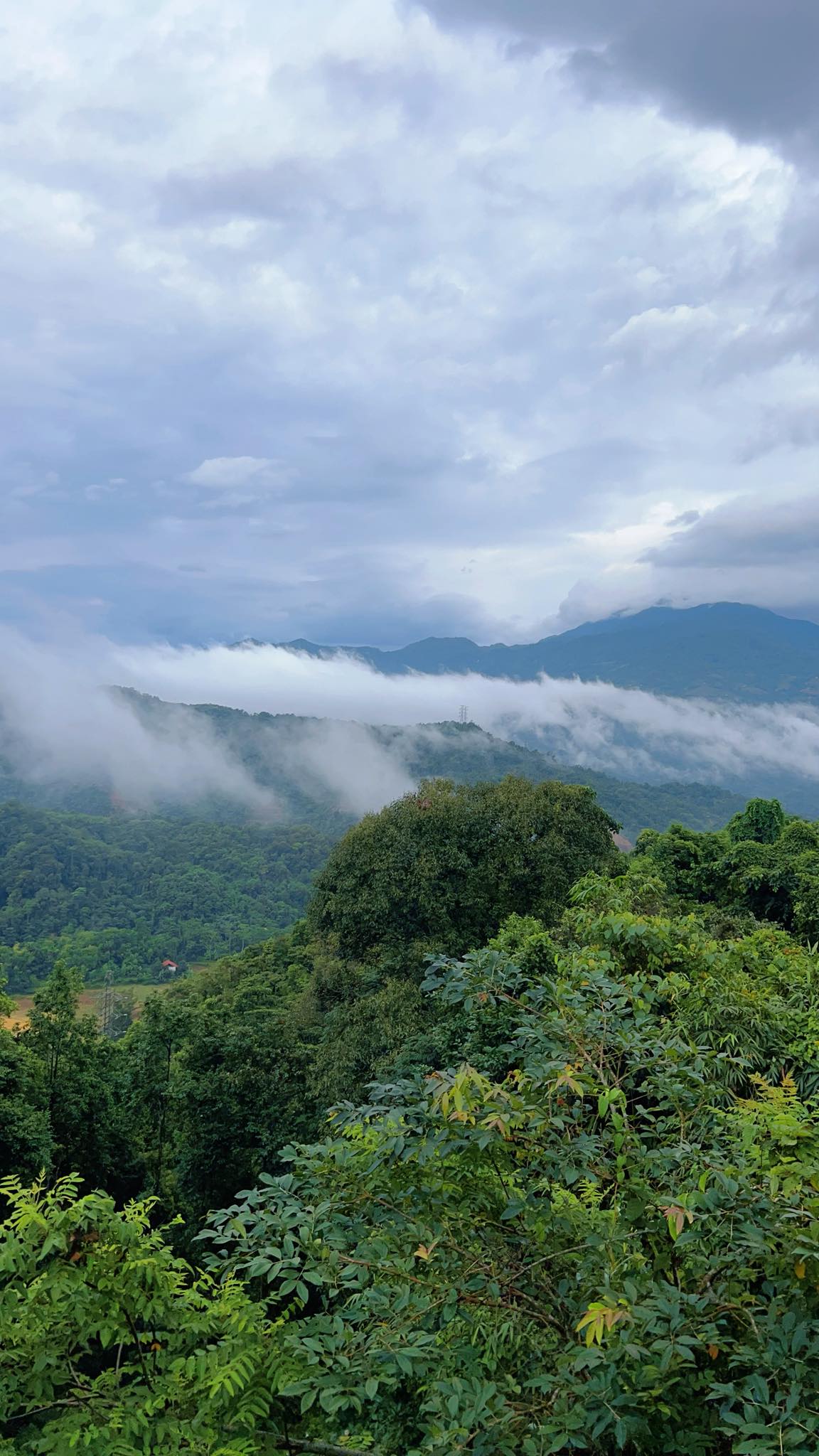Cặp vợ chồng chi 3 tỷ xây nhà như cổ tích trên vùng núi Tuyên Quang: View triệu đô, 0 đồng rau củ