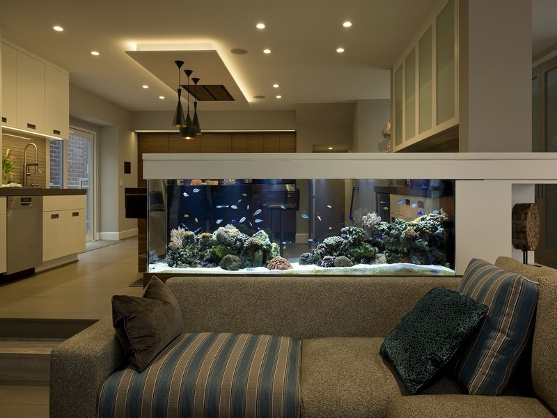 6 dấu hiệu nhà quý hơn cả vàng ròng, chuyển đi hay bán đều phí lộc trời ban