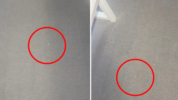 Chủ nhà đến kiểm tra, người thuê bị hạch sách đủ đường vì trên thảm có 3 vết bụi nhưng như thế vẫn chưa phải yêu cầu vô lý nhất